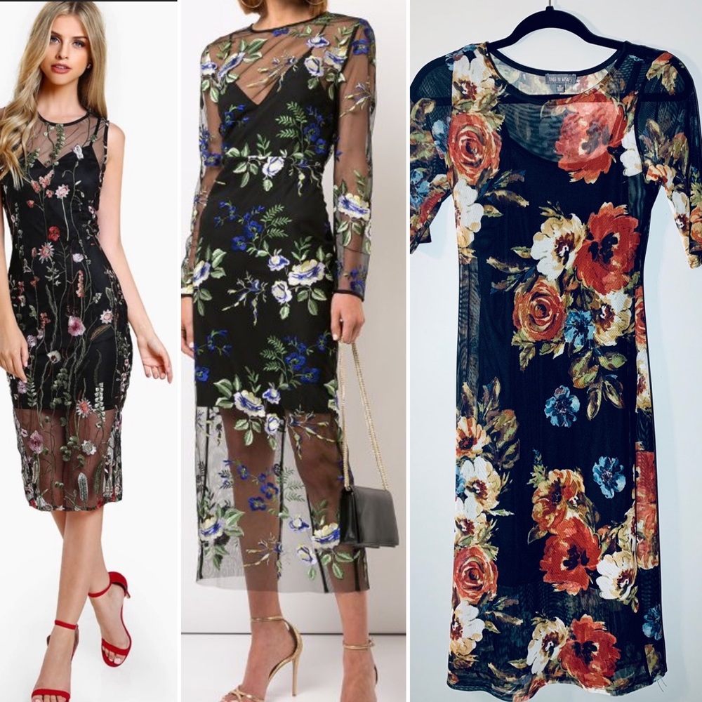 Rags to Wishes Sheer Dress